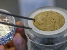 Os microplásticos estão por toda parte. Este é um problema de pesquisa