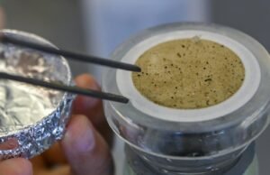 Os microplásticos estão por toda parte. Este é um problema de pesquisa