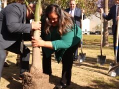 Um projeto de US$ 40 milhões irá limpar o Lago MacArthur. Ajudará a reparar o jardim?