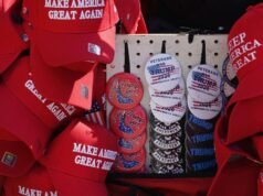 Participante: A política, que é um espaço apolítico, tornou-se funcional