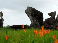 Escavações arqueológicas na Amazônia fornecem pistas sobre populações indígenas pré-coloniais