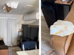 Bolas de neve atingiram o telhado de Whittier. A FAA pediu uma investigação