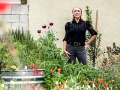 Como criar um jardim DIY resistente à seca