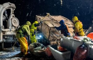 A estrela de ‘Deadliest Catch’, Todd Meadows, revelou a causa de sua morte