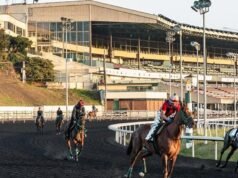 Corridas de cavalos do norte da Califórnia terminam em Golden Gate Fields