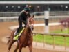 Quem vencerá o Kentucky Derby? Não há favoritos na corrida deste ano