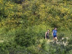 Câmara Municipal de LA planeja proibir bicicletas elétricas em passeios pela cidade e trilhas equestres