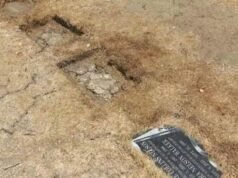 Dois cães esfaqueados, um morto enquanto guardavam o cemitério histórico de Los Angeles, disse o proprietário de coração partido