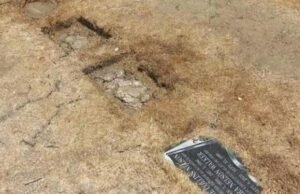 Dois cães esfaqueados, um morto enquanto guardavam o cemitério histórico de Los Angeles, disse o proprietário de coração partido