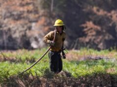 Bombeiros mortos na Flórida, 120 casas destruídas na Geórgia à medida que os incêndios florestais aumentam