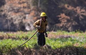 Bombeiros mortos na Flórida, 120 casas destruídas na Geórgia à medida que os incêndios florestais aumentam