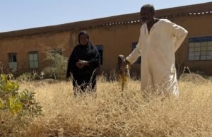 A guerra transformou esta capital africana numa cidade de sepulturas