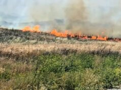 Incêndio provoca evacuações no condado de Riverside em meio aos ventos de Santa Ana