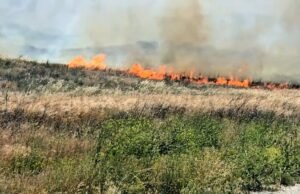 Incêndio provoca evacuações no condado de Riverside em meio aos ventos de Santa Ana