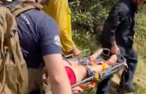 Caminhante sobrevive a picada de cobra em trilha no sul da Califórnia