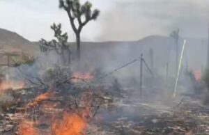 Quatro casas destruídas e um bombeiro ferido em incêndio em SoCal