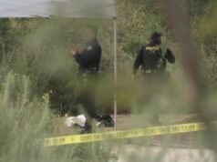 Um crânio humano pode ter sido encontrado durante uma caça aos ovos de Páscoa, disse a polícia