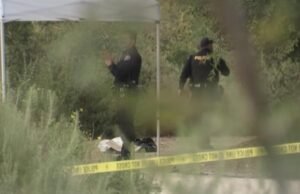 Um crânio humano pode ter sido encontrado durante uma caça aos ovos de Páscoa, disse a polícia
