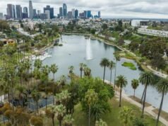 Participante: A frustração é global, mas as soluções são locais