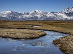 Calor extremo deixa montanhas da Califórnia em seca