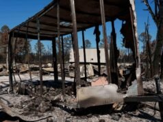 Incêndios na Geórgia mostram como a mudança climática está provocando incêndios florestais no Leste