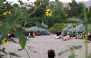 Pessoas ‘tomam banho’ na natureza para relaxar do caótico ciclo de notícias