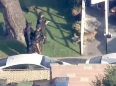 Mulher é morta a facadas em Sylmar, assassino ainda está foragido