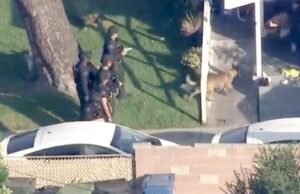 Mulher é morta a facadas em Sylmar, assassino ainda está foragido