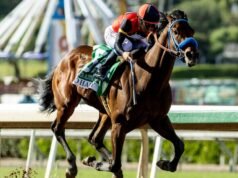 So Happy venceu o Santa Anita Derby, mas outro cavalo morreu