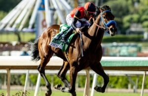 So Happy venceu o Santa Anita Derby, mas outro cavalo morreu