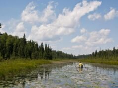 Trump suspende proibição de mineração perto de Boundary Waters, abrindo caminho para empresas chilenas obterem licenças