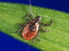 A temporada de vírus parece estar começando rapidamente e alguns especialistas estão preocupados com a doença que está por vir