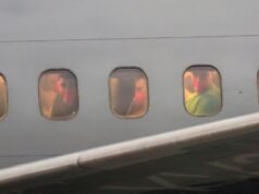 Os requerentes de asilo são mandados para países onde nunca estiveram e acabam no caos.