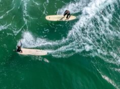 Um poderoso avistamento de tubarão suspende a competição de surf de Huntington Beach
