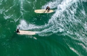 Um poderoso avistamento de tubarão suspende a competição de surf de Huntington Beach