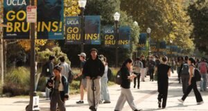 UCLA e CSUs recebem US$ 110 milhões em subsídios de saúde mental