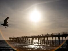 Os oceanos da Califórnia continuam quebrando recordes de calor