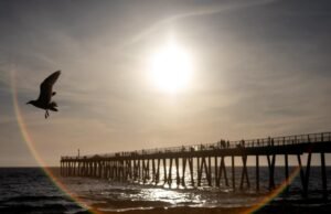Os oceanos da Califórnia continuam quebrando recordes de calor