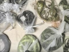 O comércio internacional de vida selvagem causa uma variedade de doenças