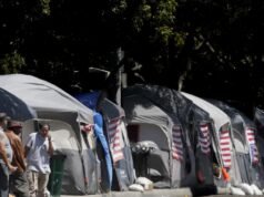 A grande promessa de Trump para casas de veteranos ausentes na proposta de orçamento do VA, veterinários mentais