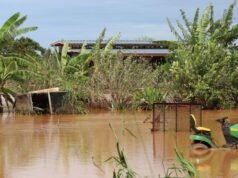 Inundações na costa norte do Havaí podem reduzir o risco de pesticidas
