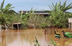 Inundações na costa norte do Havaí podem reduzir o risco de pesticidas