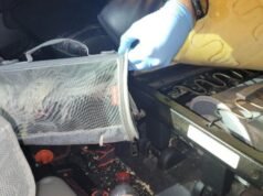 Homem de SoCal condenado por contrabando de aves exóticas através da fronteira EUA-México