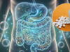 Como restaurar a microbiota intestinal após tomar antibióticos, segundo Harvard