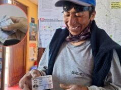Identificação eletrônica gratuita em 1º de junho: Onde e quais serviços estão disponíveis?