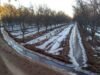 Foi declarada emergência agrícola em Chubut, Santa Cruz e vários departamentos de Mendoza
