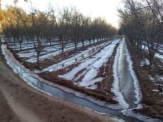 Foi declarada emergência agrícola em Chubut, Santa Cruz e vários departamentos de Mendoza