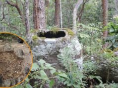 As investigações nas Planícies de Jars, no Laos, revelam um ritual funerário sem precedentes: um navio contendo os restos mortais de 37 pessoas que podem ser da mesma raça.