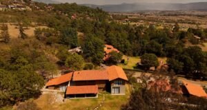 O terreno onde “El Mencho” se escondeu em Tapalpa foi leiloado: o preço gira em torno de 13 milhões de pesos