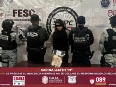 Eles prenderam uma mulher ligada ao Cartel de Sinaloa em BC e que escondia armas em um animal.